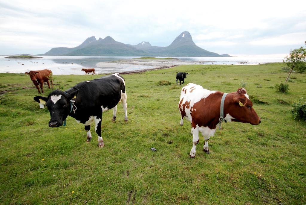 Topcamp Havblikk - Helgeland Nesna Exterior photo